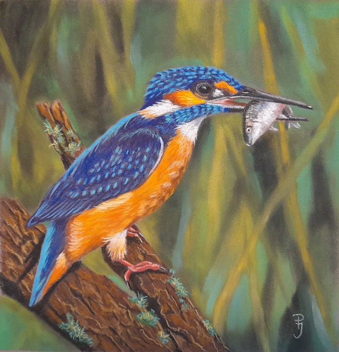 schilderij ijsvogel vogelschilderij
