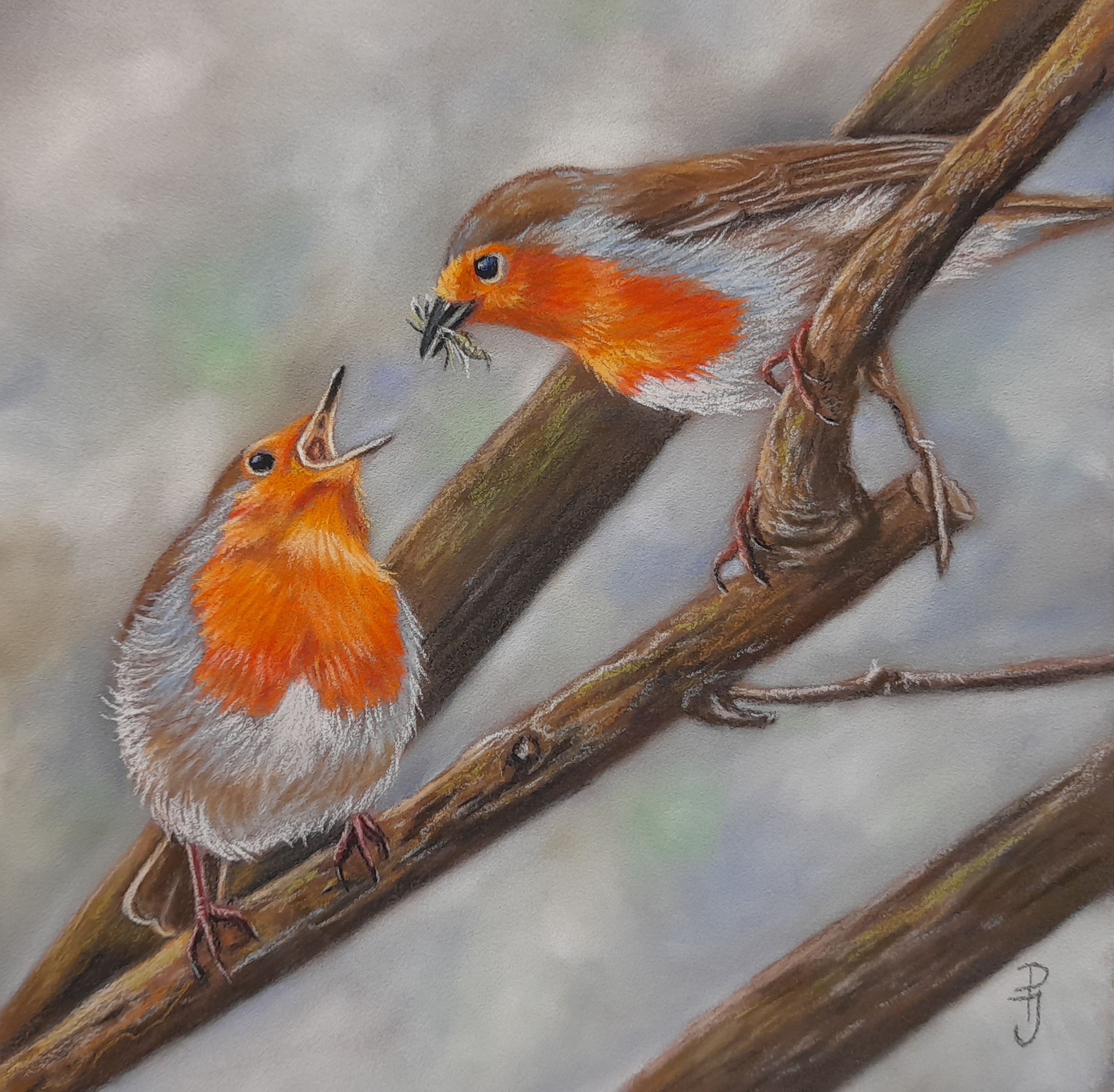 vogelschilderij roodborstje voert jong