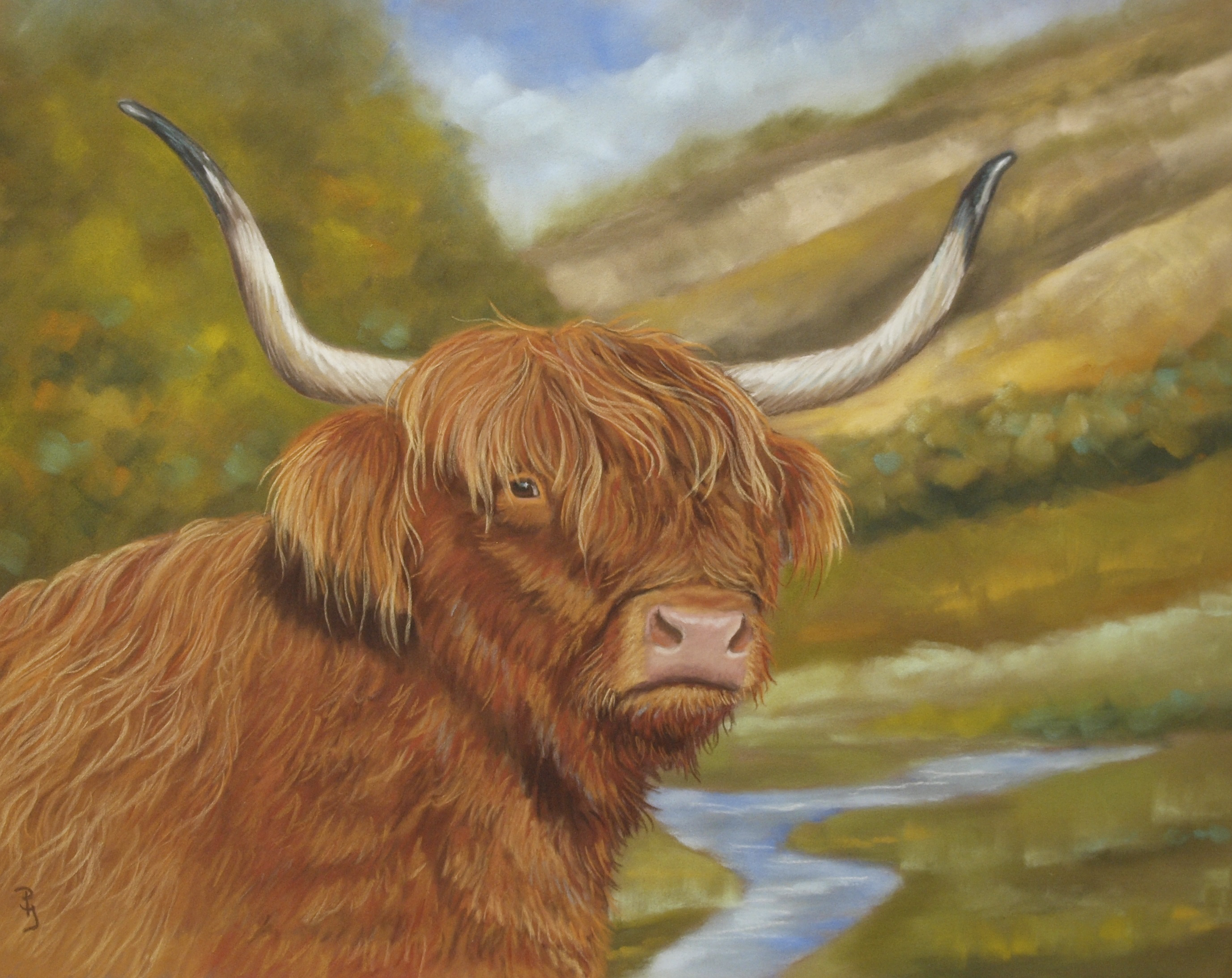 schilderij hooglander dierenschilderij