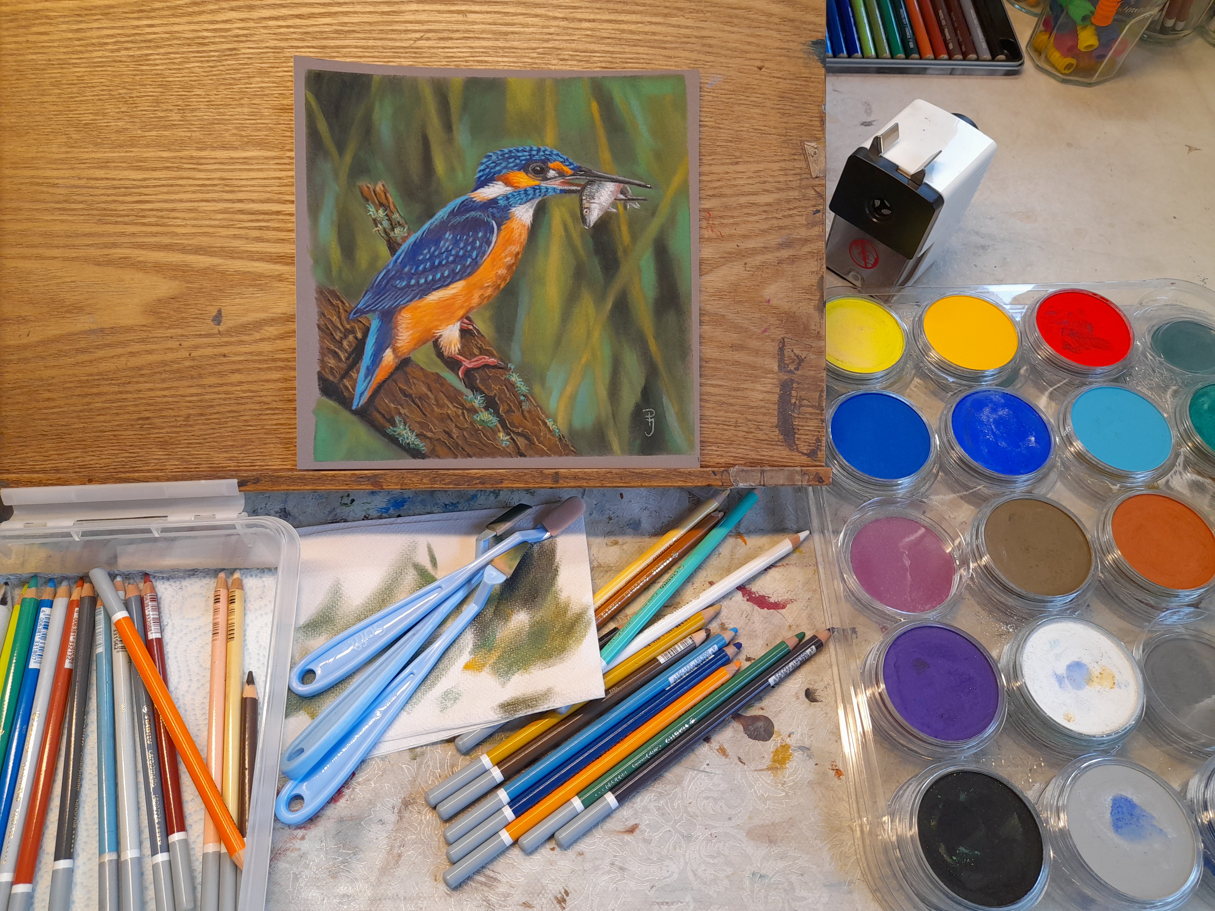 schilderij pastelkrijt in opdracht vogelschilderij