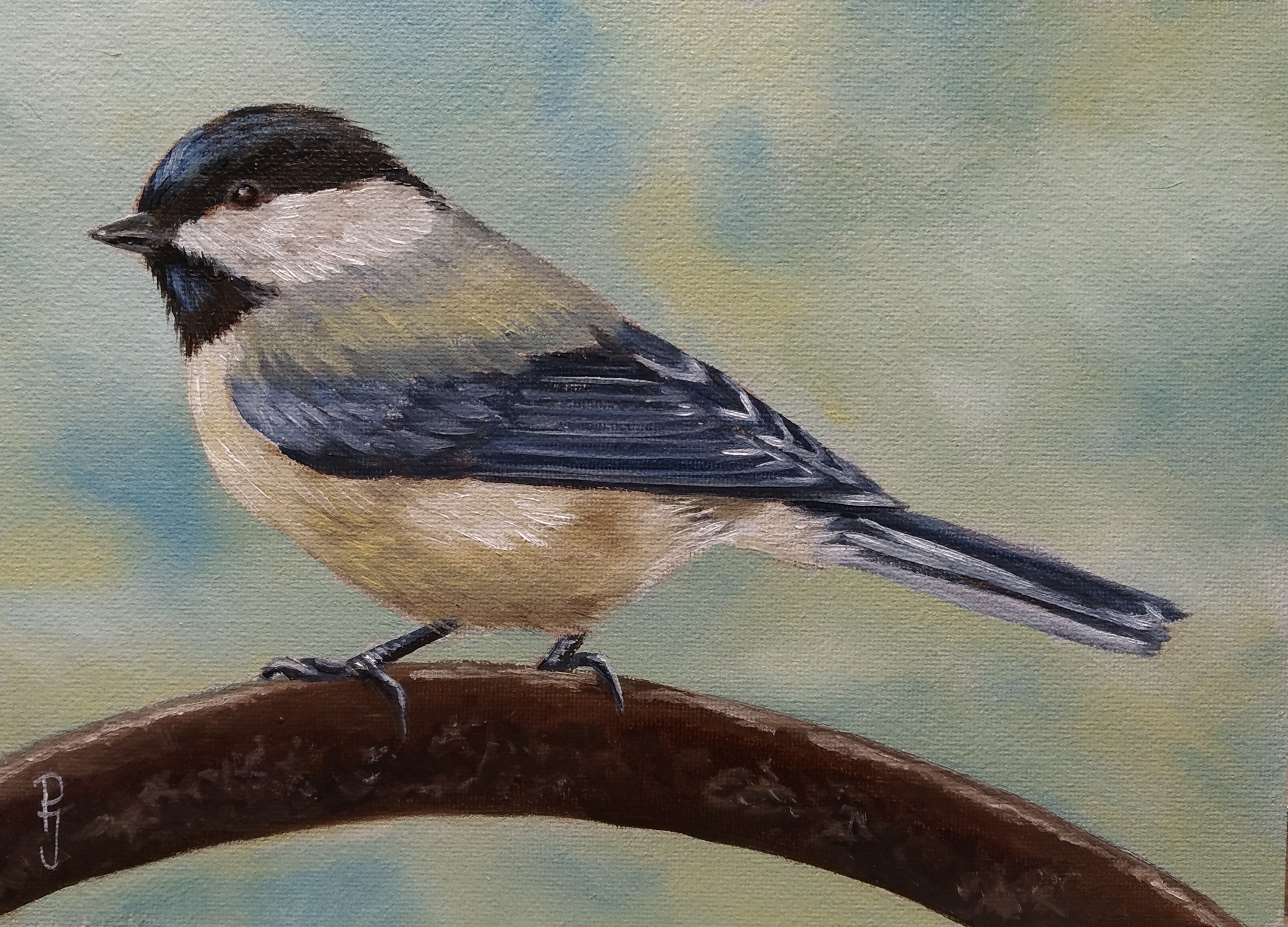 schilderij zwarte mees chickadee