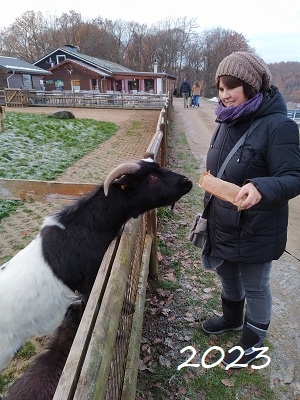 dierenschilderij schilderij kat hond
